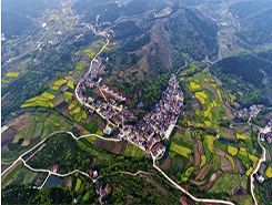 全面推行路长制，创建农旅融合示范线
