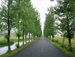 安陆通乡公路水白线